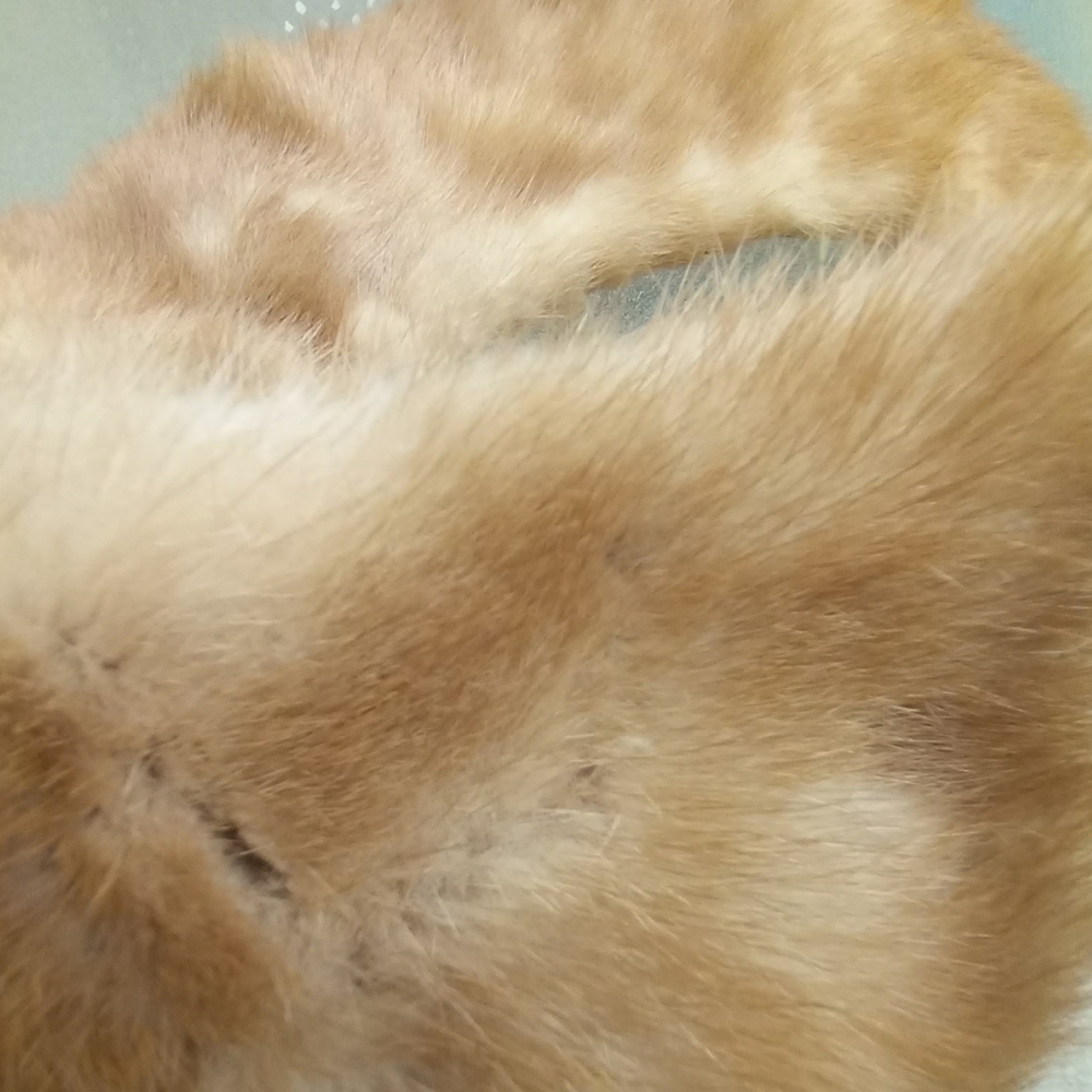 Fur Collar Blonde Short 50's